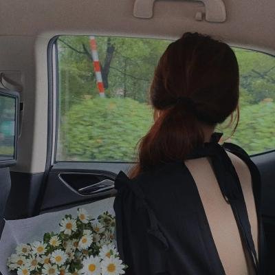 冲绳小芙蓉